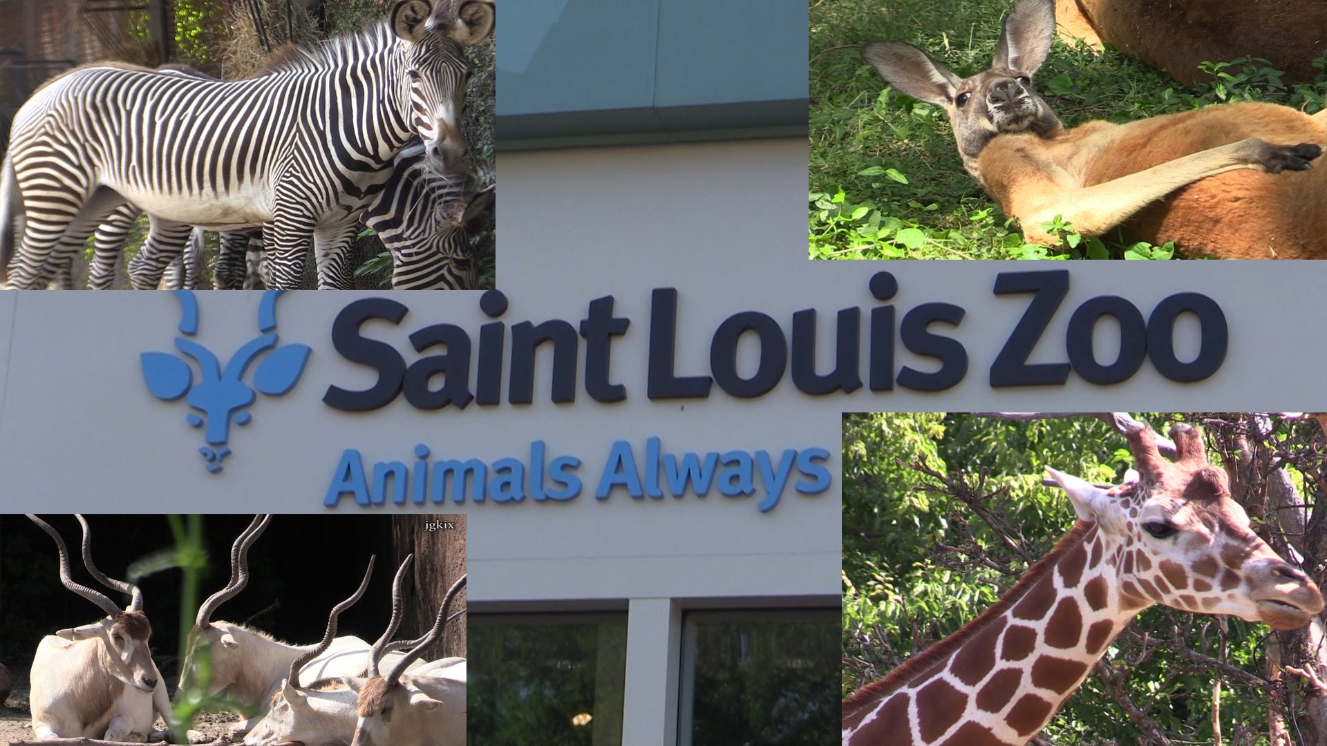 Saint Louis Zoo