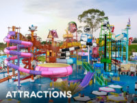 attractions-cartoonival-cta