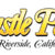 Castle_Park_Logo